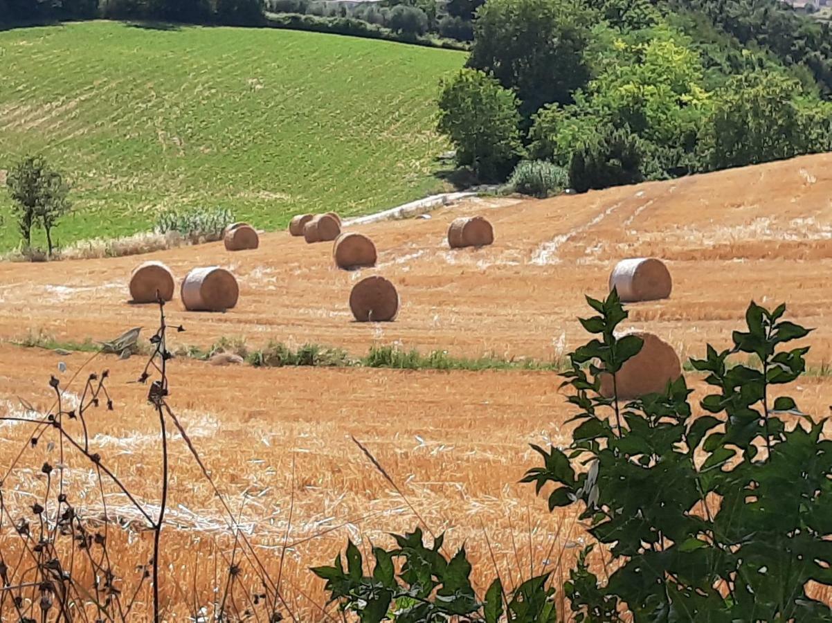 Villa Pacchini Poggio Mirteto Exteriér fotografie